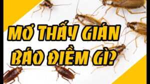 Mơ thấy gián là báo điềm gì