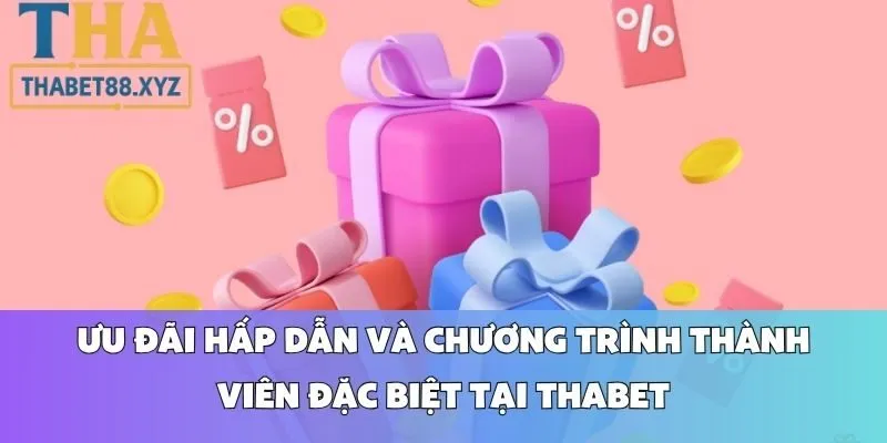 Ưu Đãi Hấp Dẫn Và Chương Trình Thành Viên Đặc Biệt Tại Thabet