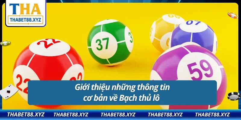 Giới thiệu những thông tin cơ bản về Bạch thủ lô
