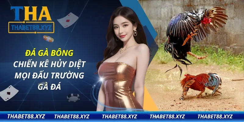 Đá Gà Bông