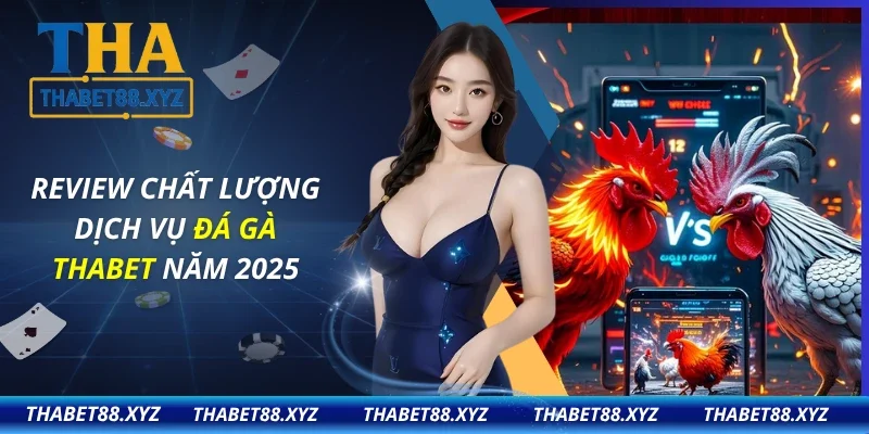 Đá Gà THABET